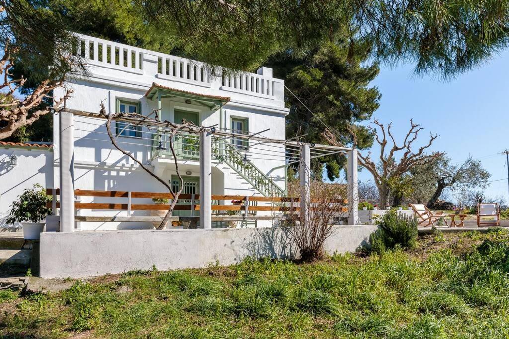 Villa Ambeli Скопелос Екстер'єр фото